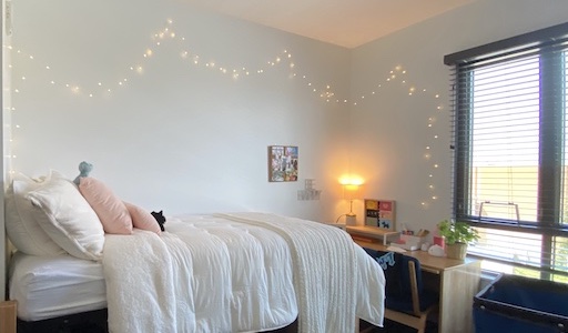 Image of inside a dorm room